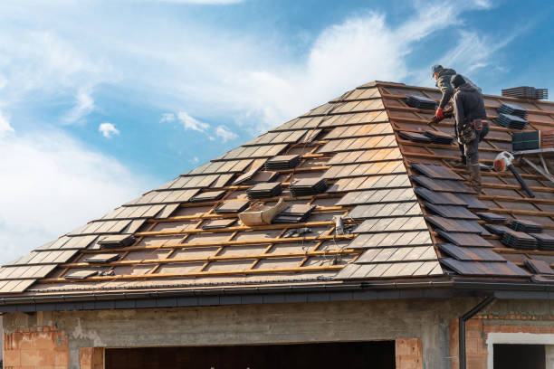 Best Skylight Installation and Repair  in Estill, SC